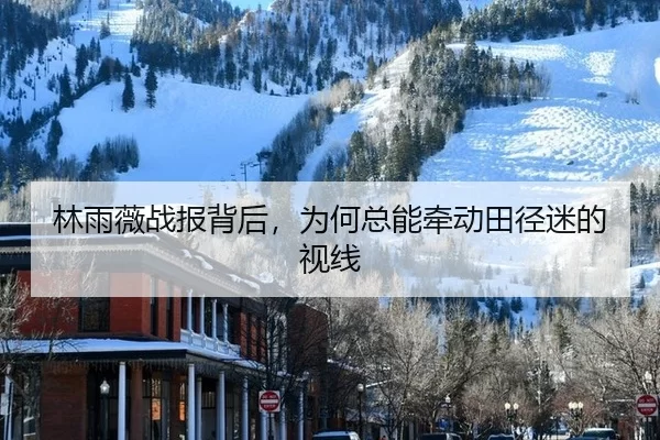 lin-yu-wei-zhan-bao-bei-hou-wei-he-zong-neng-qian-dong-tian-jing-mi-de-shi-xian-2-627.jpg